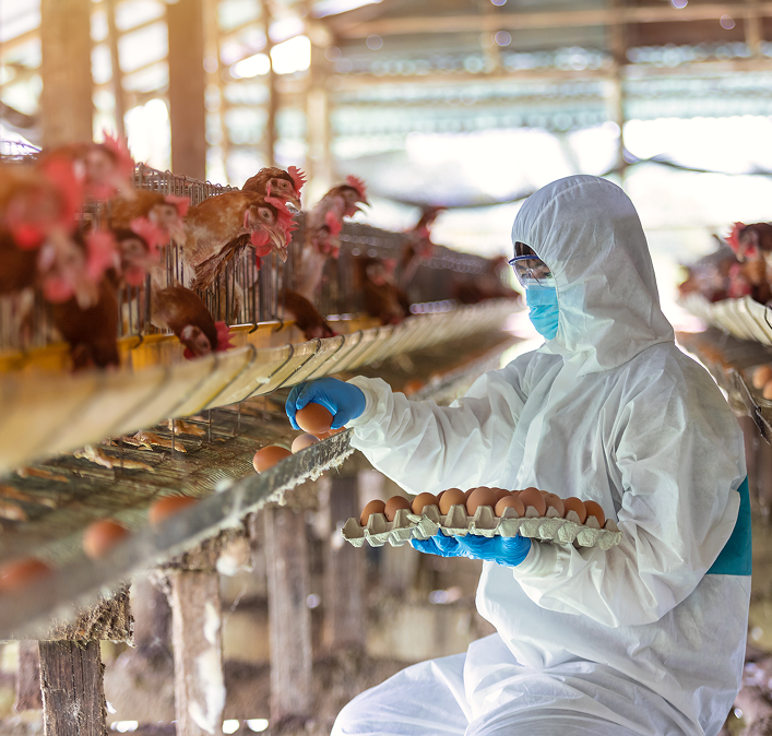 obtén el máximo beneficio con nuestros servicios