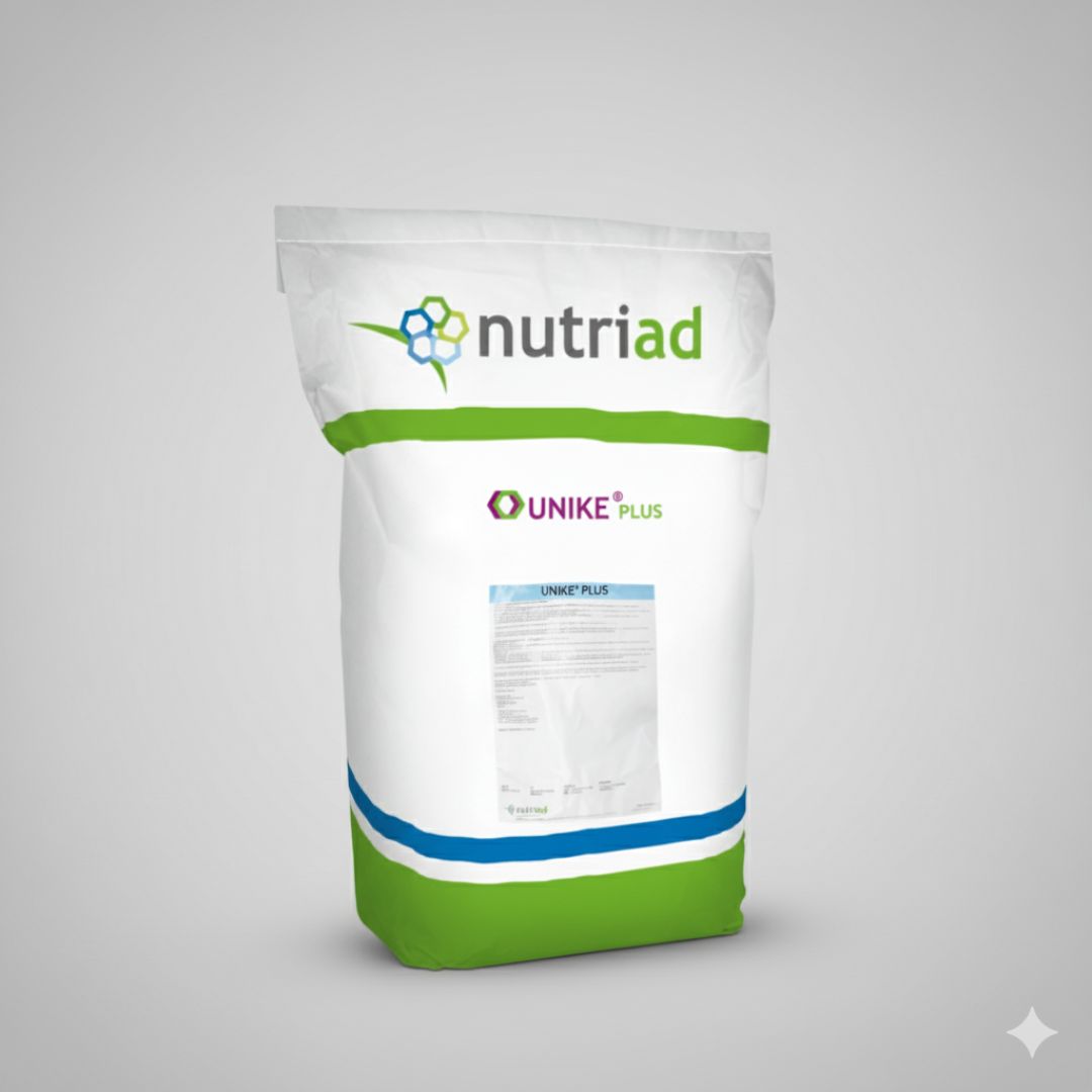 UNIKE PLUS