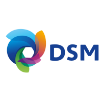 LOGO_DSM